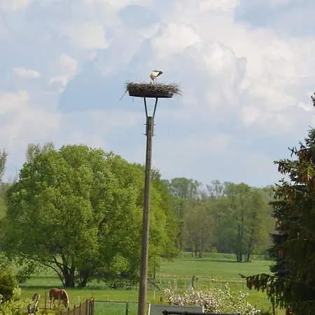 Adebarsoase Lejlighed Lübben