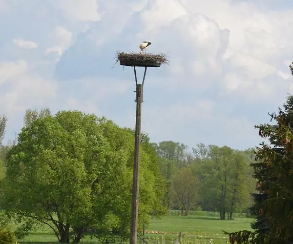 Adebarsoase Apartman Lübben